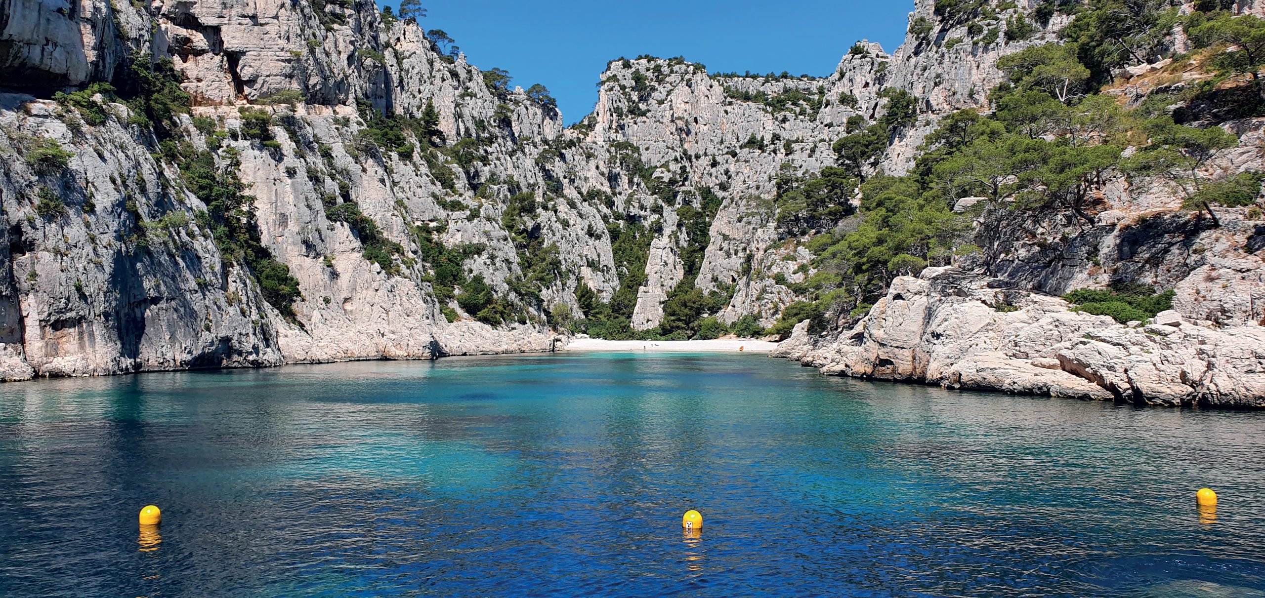 Fond Visite des calanques en bateau